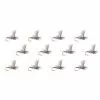 Para Wulff 12 Pack Montana Fly Company Dry Flies -Outlet Fly Fishing Store BWO 1