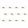 Flexi Girdle Bug 12 Pack Montana Fly Company Nymphs