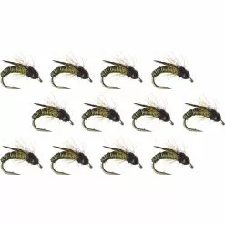 Wired Caddis 12 Pack Montana Fly Company Nymphs