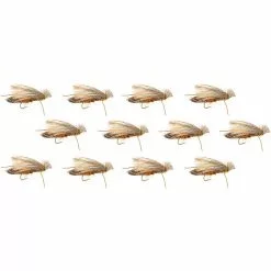 Cat Vomit 12 Pack Montana Fly Company Dry Flies