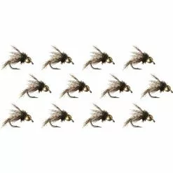 Anderson's Bird Of Prey 12 Pack Montana Fly Company Nymphs