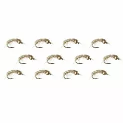 BH Scud 12 Pack Montana Fly Company Nymphs