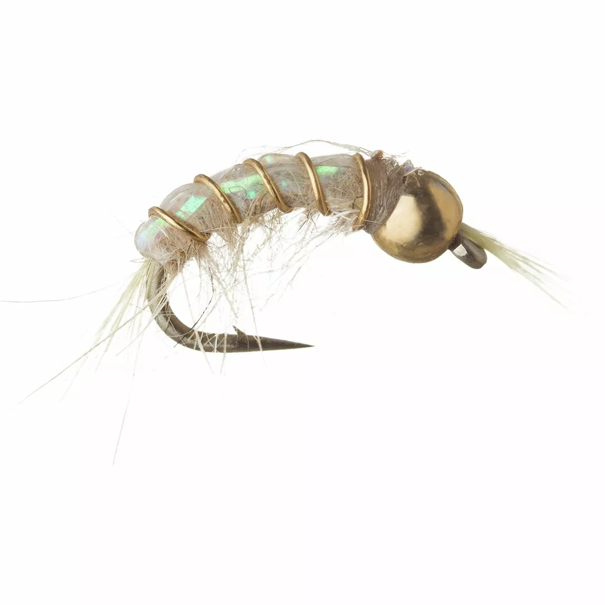 BH Scud 12 Pack Montana Fly Company Nymphs 4 BH Scud 12 Pack Montana Fly Company Nymphs - Image 2